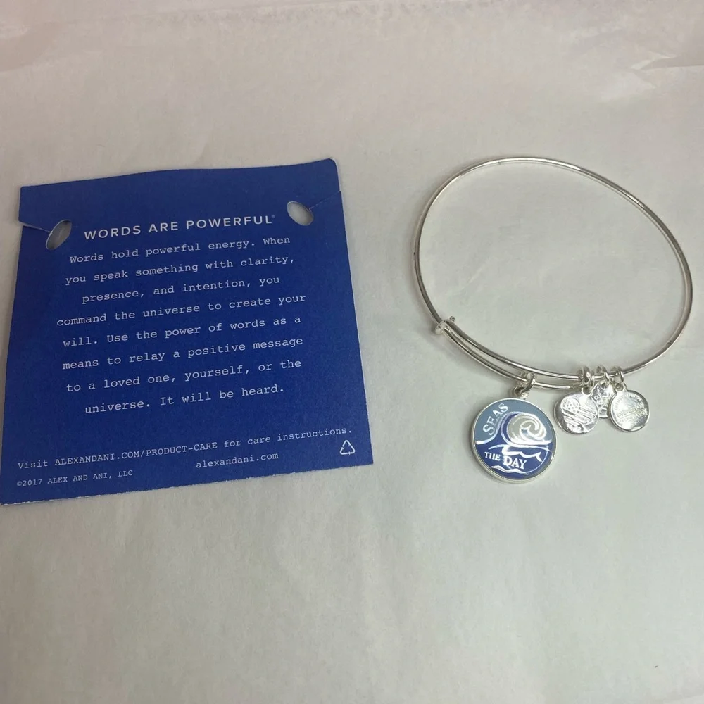 🔴⬇️ ALEX AND ANI silver tone Seas the day bracelet 🌊 good energy ✨ - Picture 3 of 4